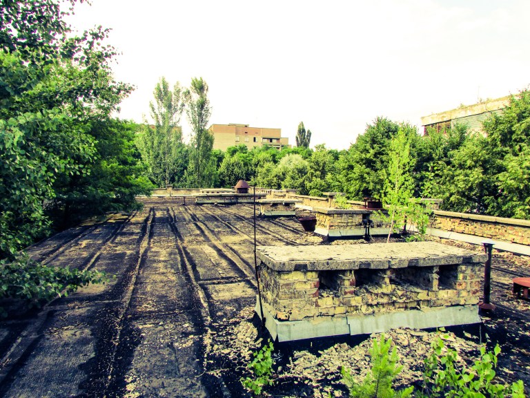 Oppe på taket av Skole nummer tre ser man hvordan bjerketrærne nå har vokst seg høyere enn bygningen.