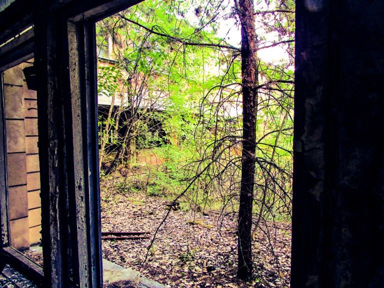 Utsikt fra et av vinduene.