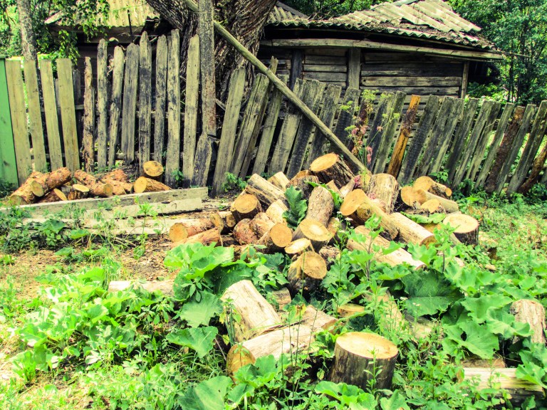 Noen ukrainske soldater på permisjon kommer innimellom innom og hugger ved, men småveden hugger 88-åringen selv.