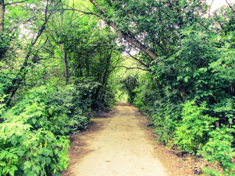 Fortsatte er veien ned til Rosalies hus fremkommelig, men nedenfor der hun bor stopper veien og er helt tilgrodd.