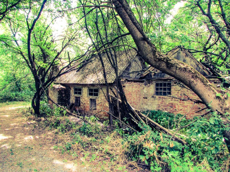 De andre husene i Zalissia har stått tomme i 29 år og bærer tydelig preg av forfall.