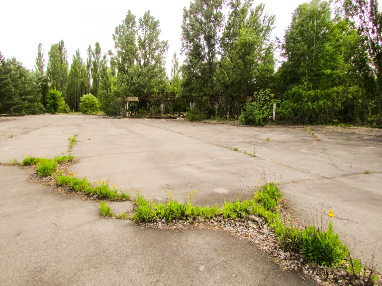 Naturen bryter gjennom asfalten ved fornøyelsesparken.
