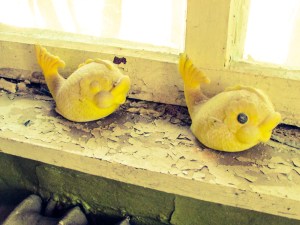 To plastfikser ligger fortsatt i vinduskarmen.