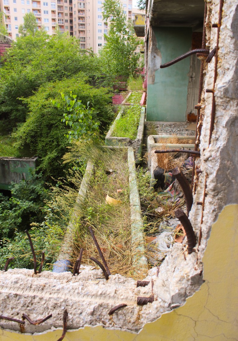 0C846235-A842-4EF6-81EF-EA6B5BFE667F