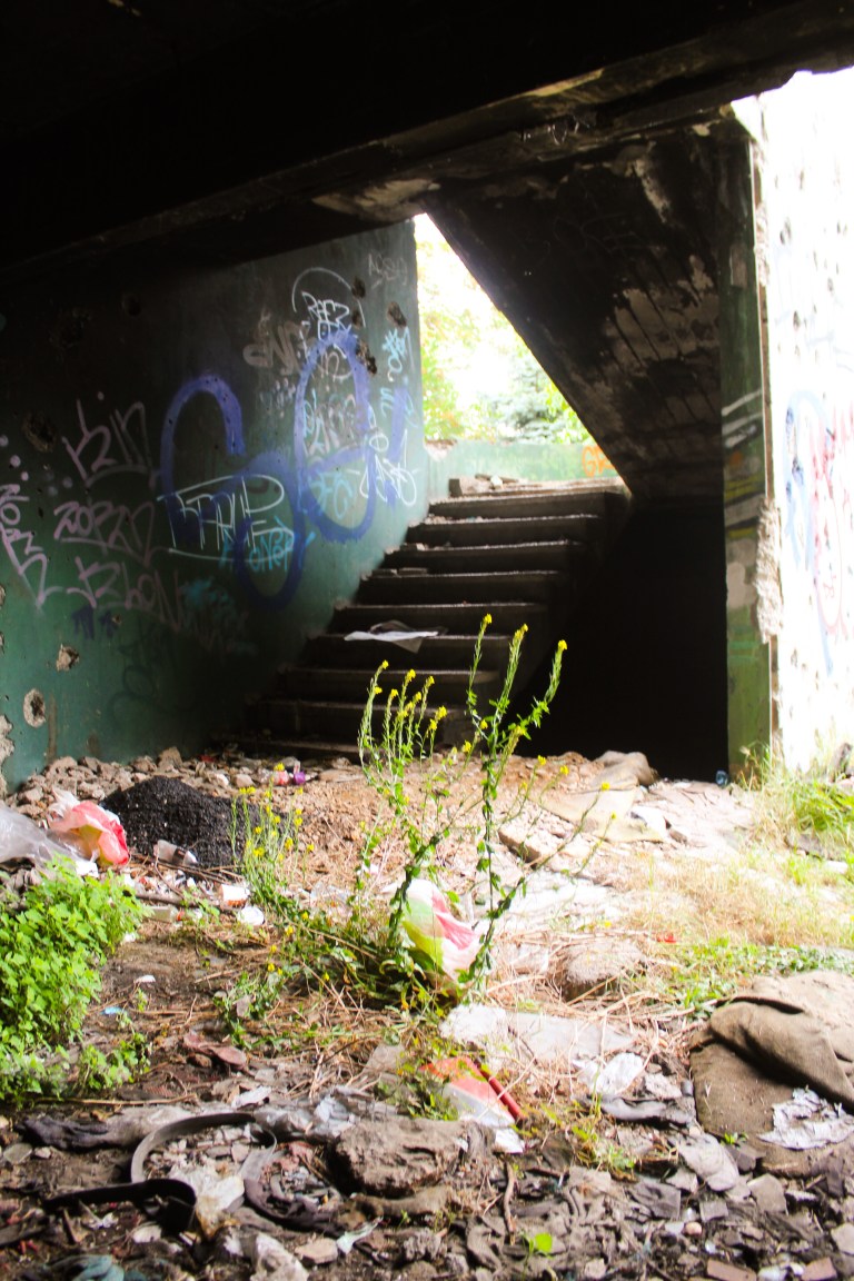 A89F28FF-846E-457B-9D5A-4B1586D1A455