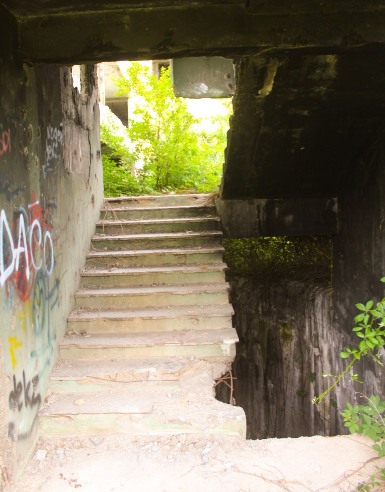 C8511344-4A75-4E08-8995-72FABC3449EB